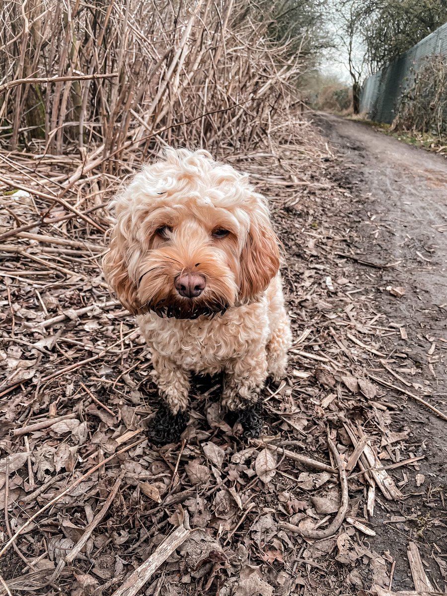 FETCH·IT tweet media