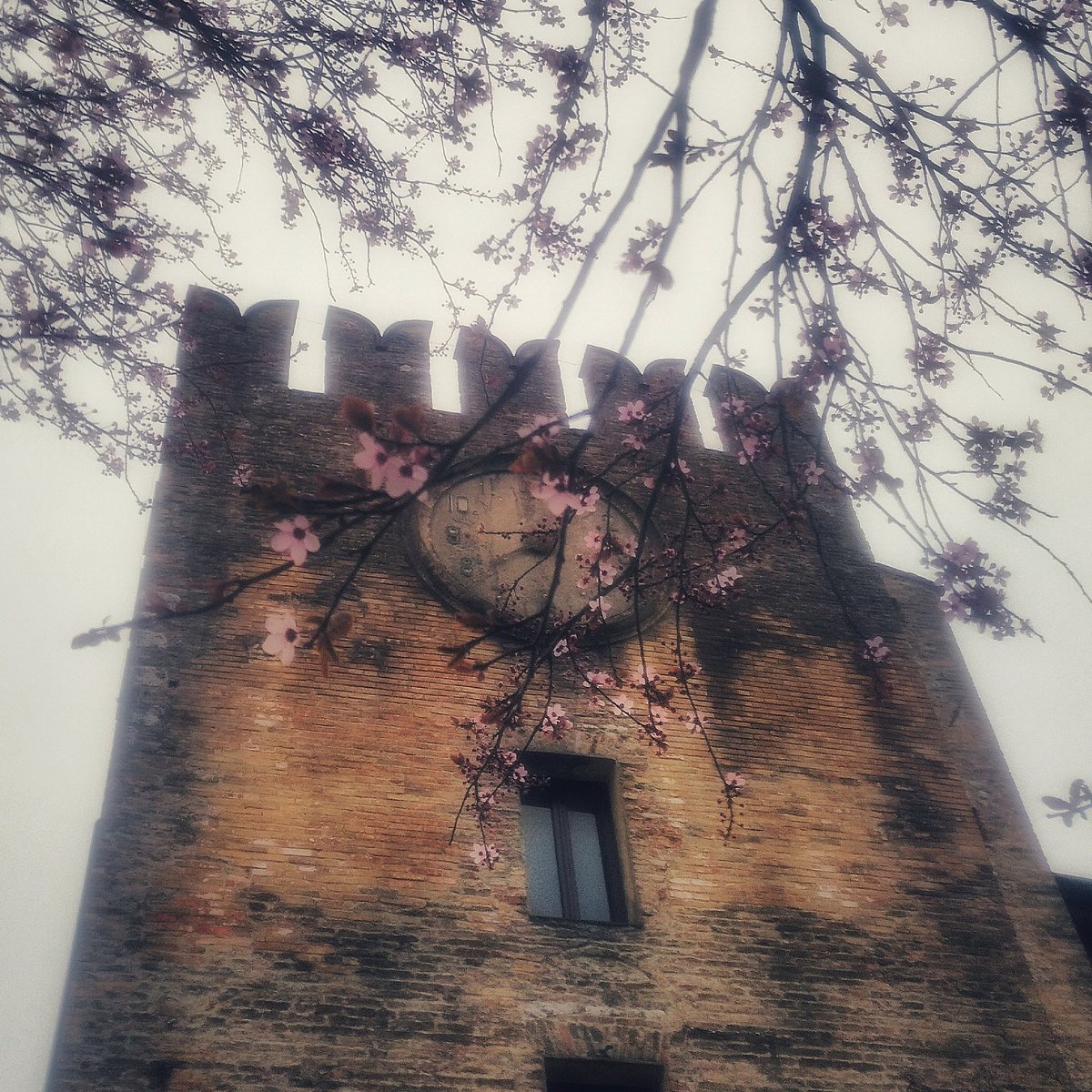 merifabbro's tweet photo. #springday  #home #13Marzo #buonsabato #💜 #lockdown2021 https://t.co/nzVQXJ0Rhb