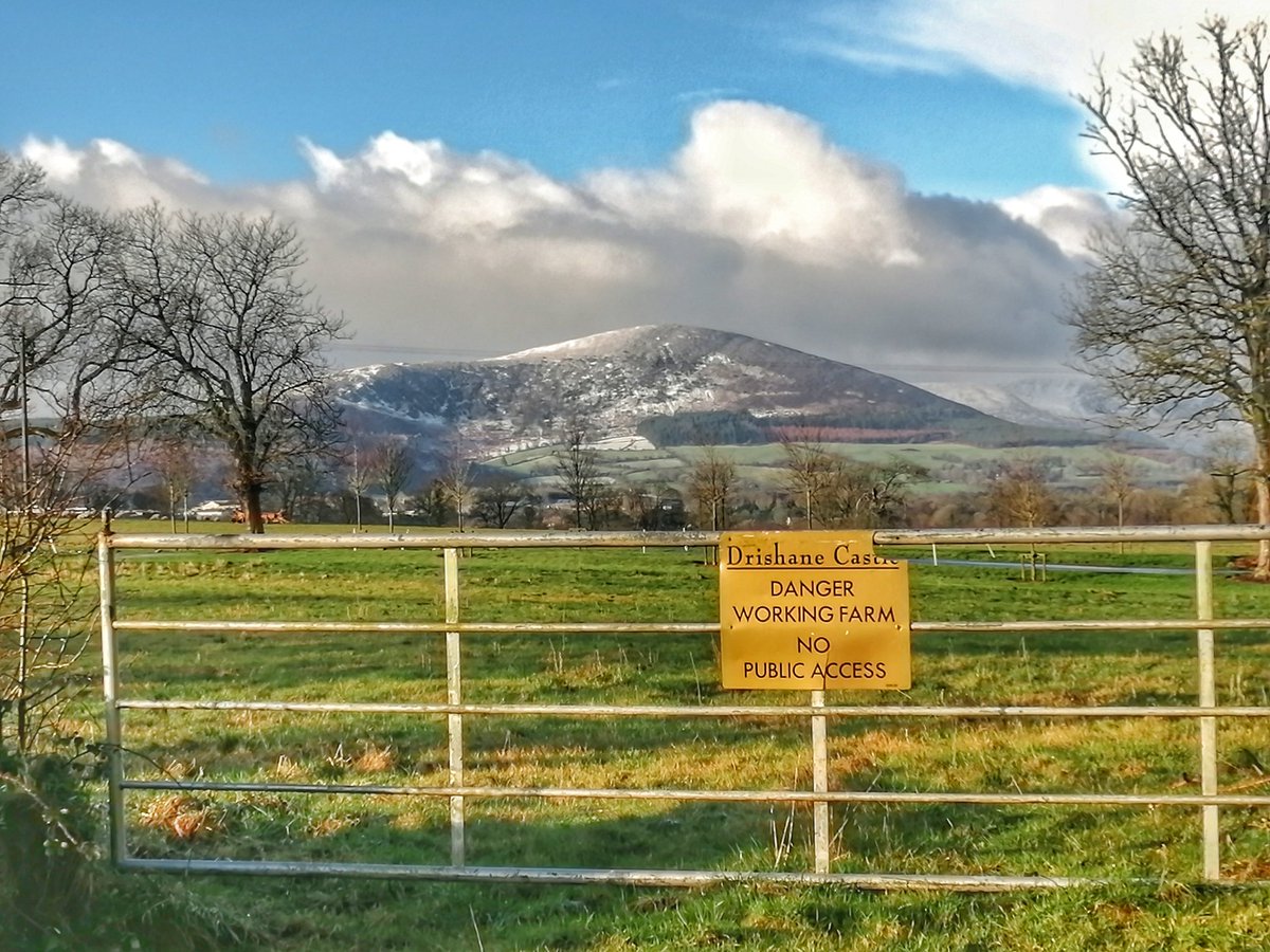 #ClaraMountain <a href="/millstreet_town/">Millstreet.ie</a> #Corktoday