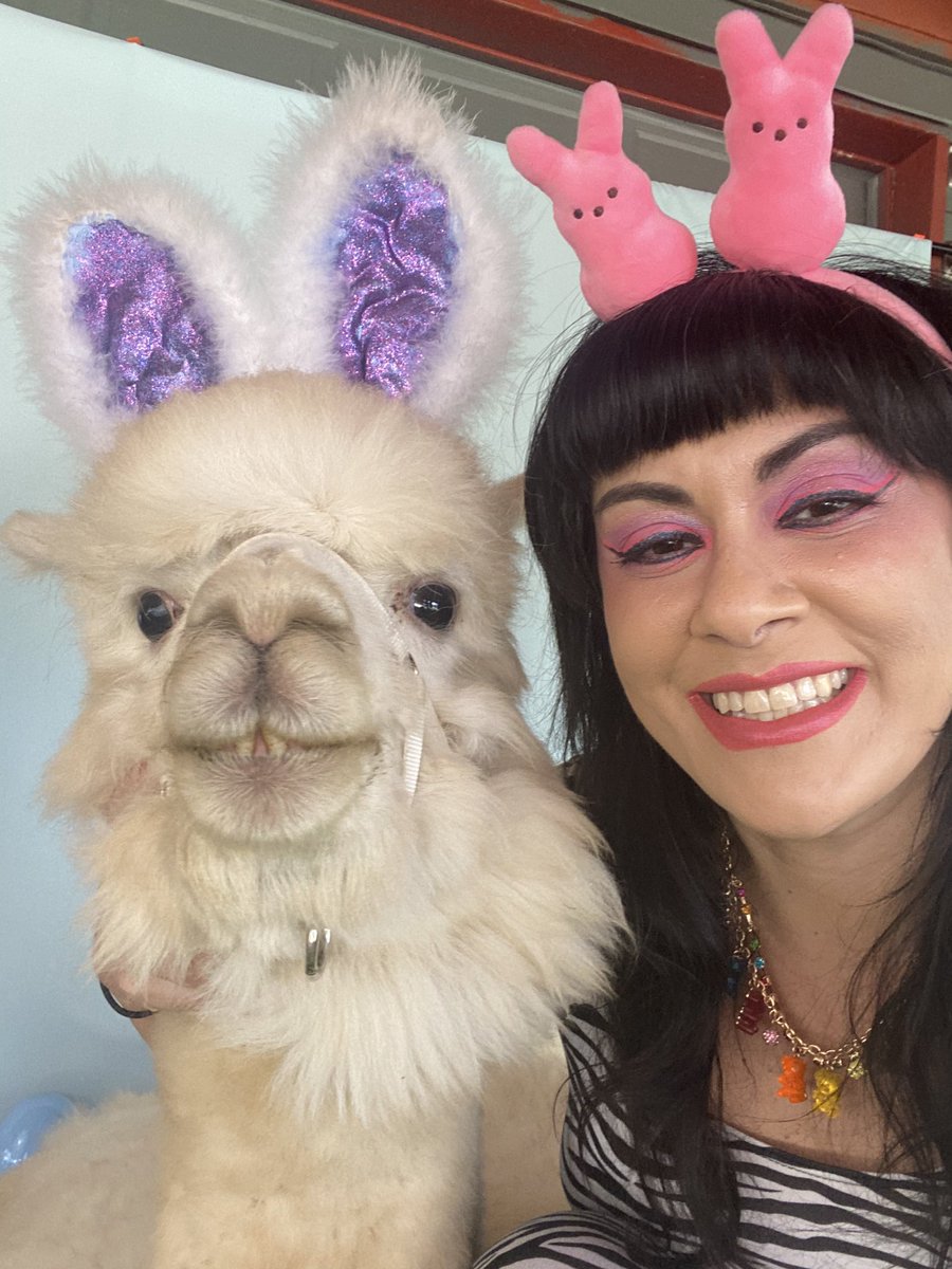 BabyLeStrange's tweet photo. Llama mama. @RojoTheLlama #alpaca #llama #llamamama #animallover https://t.co/Dp6tgLjJZD