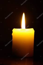 Kathy Lette tweet media