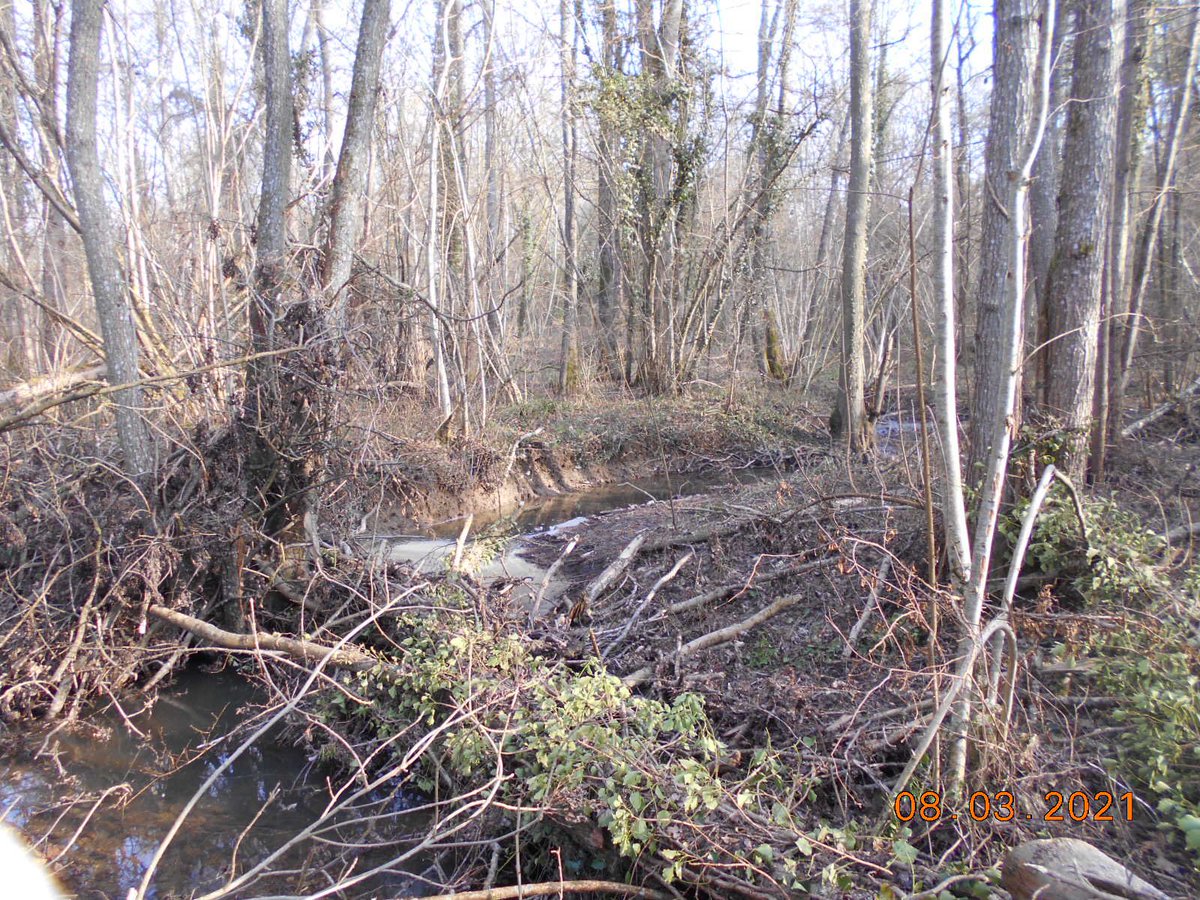 1/3 entretien du Surmelin avant : embâcle et chablis. #ripisylve #gemapi #nature #biodiversité