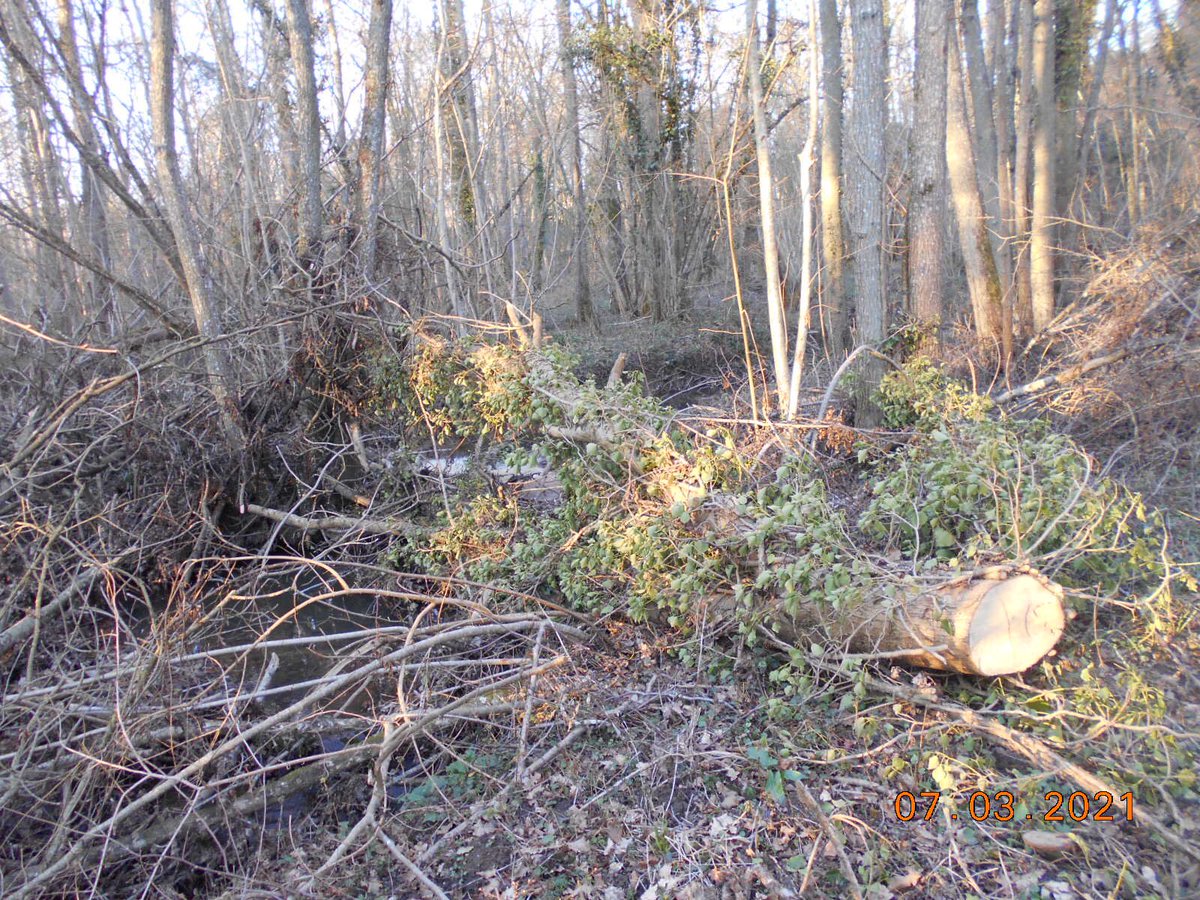 ASurmelin's tweet photo. 2/3 Entretien du Surmelin pendant  : huile de coude et mécanique #gemapi #ripisylve #nature #biodiversité https://t.co/iuI8Cr6AnW