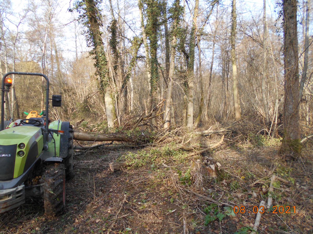 2/3 Entretien du Surmelin pendant  : huile de coude et mécanique #gemapi #ripisylve #nature #biodiversité