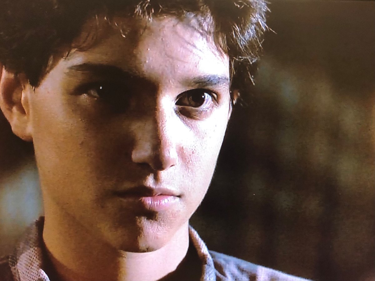 ベストキッド2 Twitter Search