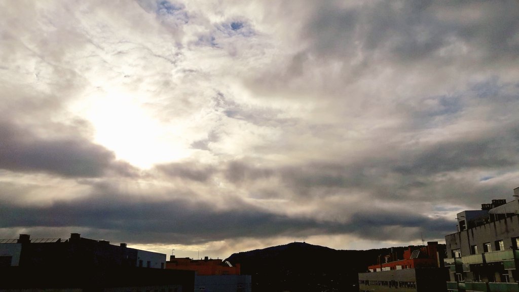 AdrycManellson's tweet photo. Weed Día Verde Mundo,
Con Sol juegando al Escondite en #AdrycsCove, mi Hada en ejercicios de #Meditación y #Respiración, #AfghanStorm @GreenbudSeeds #ASuAire 2 litros #Sust #BatMix #Plagron muestra #Flor ya,
Y #Cogollito @manoverdeseeds,
A Vuestra Salud,
Deseamos todo Feliz..🧚‍♂️😎 https://t.co/EZcRBkZ4AJ