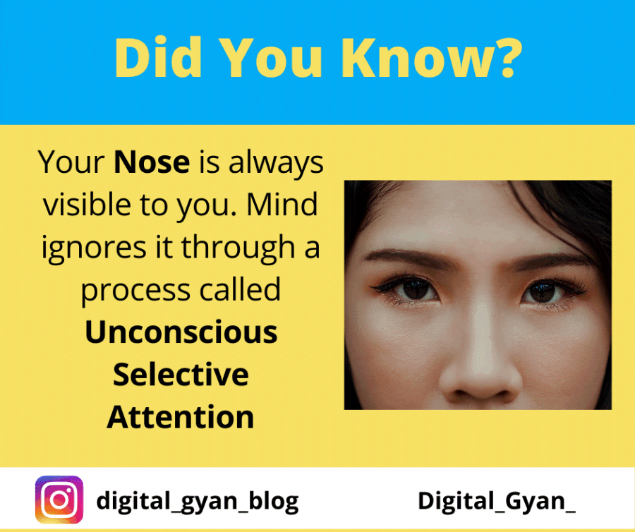 Digital_Gyan_'s tweet photo. You don't see your nose because your brain ignores it. While your nose is always in your field of vision, your brain filters it out because it's not information you need to function on a day-to-day basis.
#facts #knowledge #digital_gyan_blog #nose #body #human https://t.co/RVduiJHfSD