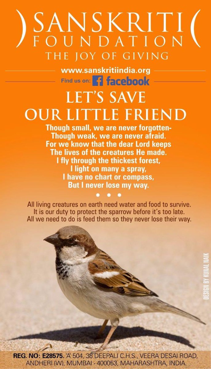 SANSKRITIfound1's tweet photo. #letsSaveOurLittleFriend #sparrow https://t.co/T0xSLxOpUZ