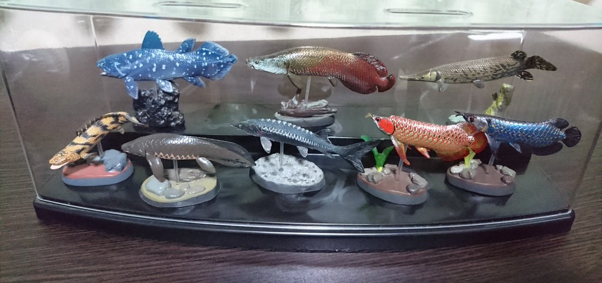 魚 生易しい 動物の惑星 フィギュア シークレット 魚 生易しい 動物の惑星 フィギュア シークレット