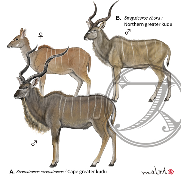 malth マルス on Twitter 