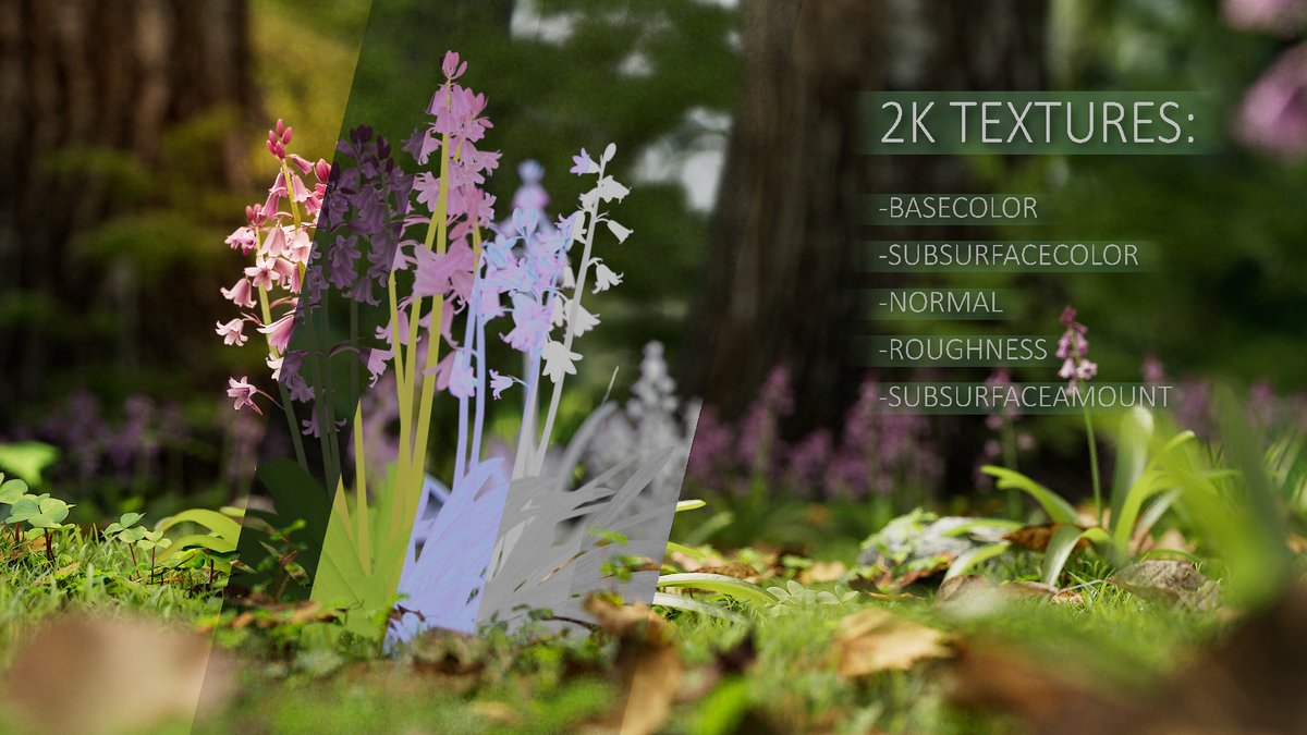 CgSuperb's tweet photo. This is a set of bluebell models with 35 shapes and two levels of detail—middle poly and low poly, made by #Blender 2.81 and #Cycles Renderer, supporting the near focus. 
https://t.co/GaTZWdVwGn
#lawn #garden #park #nature #plant #weed #wildflower #greening #forest #superbcg https://t.co/CjnxZhBzAn