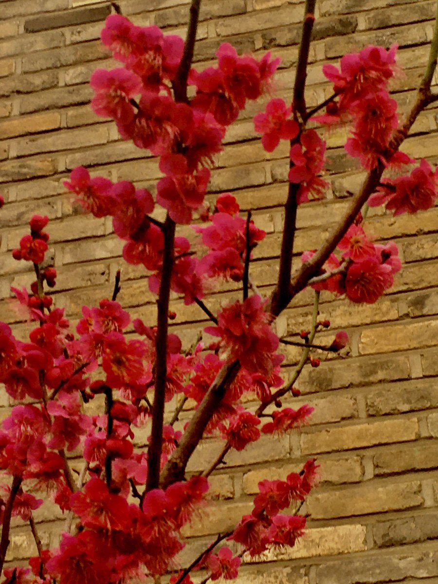 Greg DeRego tweet media