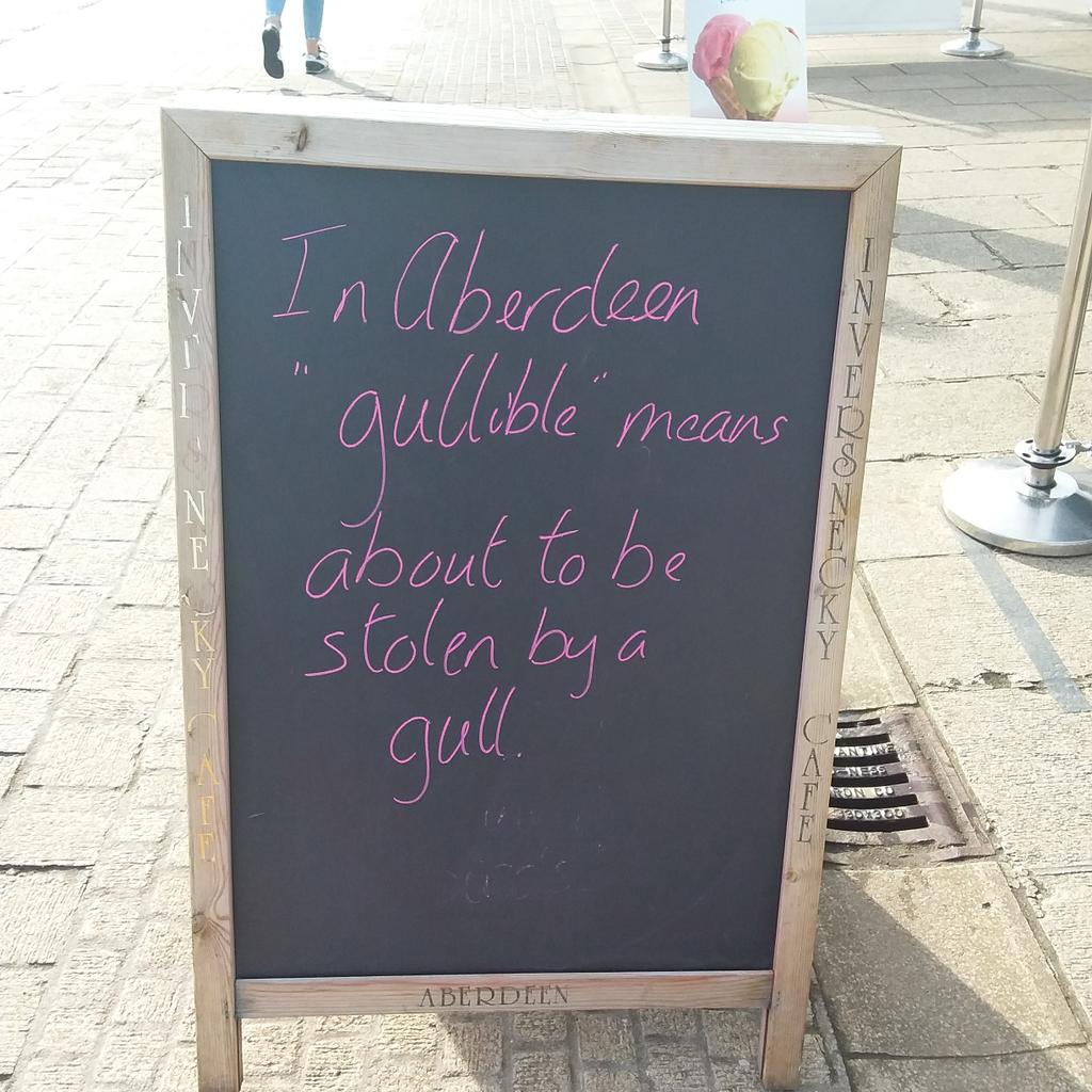 Mr_Inversnecky's tweet image. Truth! #Inversnecky #cafeboard #aberdeen #StaySociallyDistant #Seagulls #Birbs