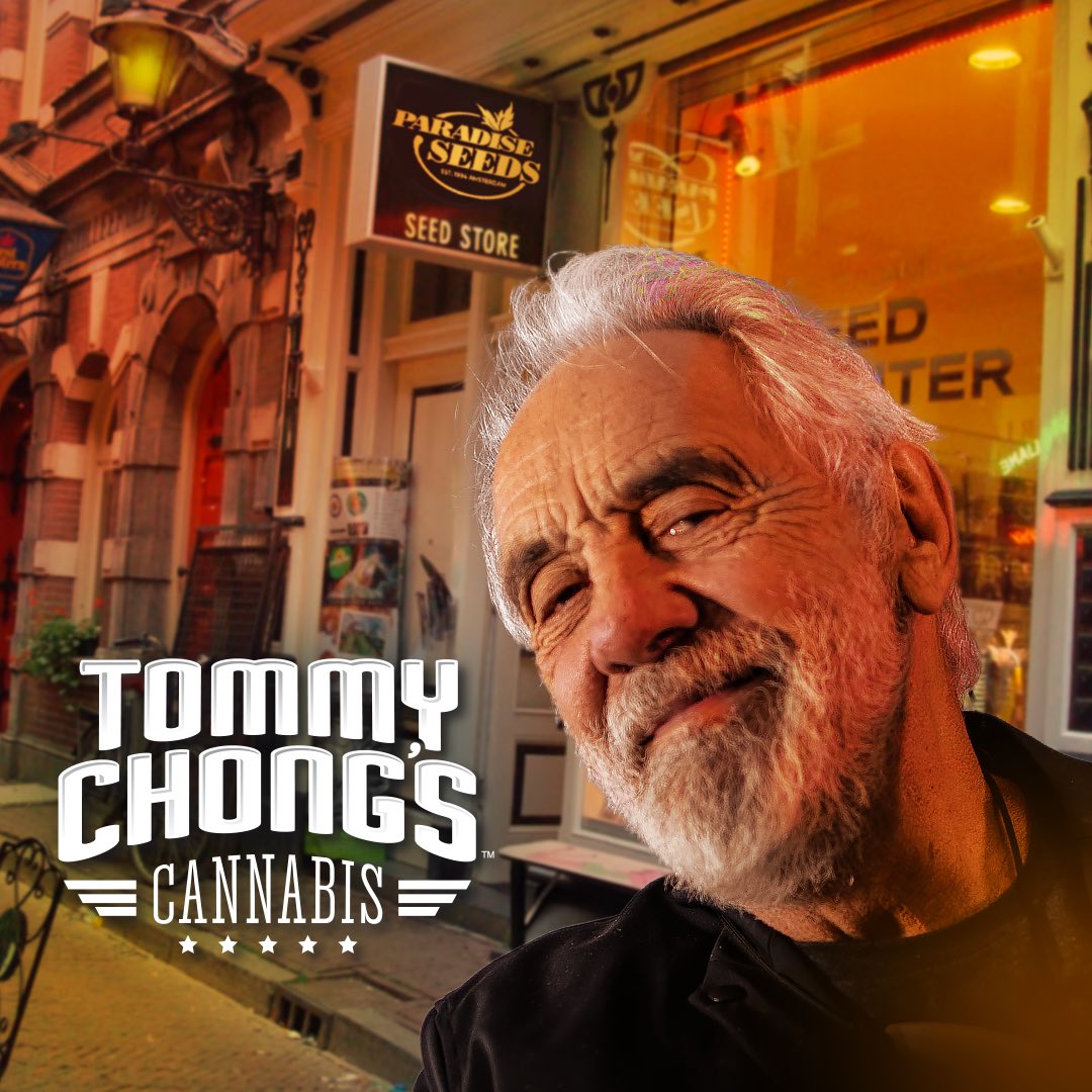 tommychong's tweet photo. Can’t believe its been 3+ years since I started my collaboration with @paradiseseeds! Found this selfie in front of their flagship store in Amsterdam. If you visit Amsterdam 🇳🇱 (after this corona situation of course), their store is worth a visit! #tommychongscannabis https://t.co/rNGNidPdTb