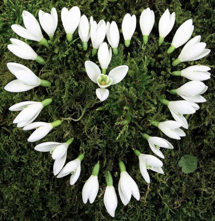 judy murray (@judymurray) on Twitter photo 