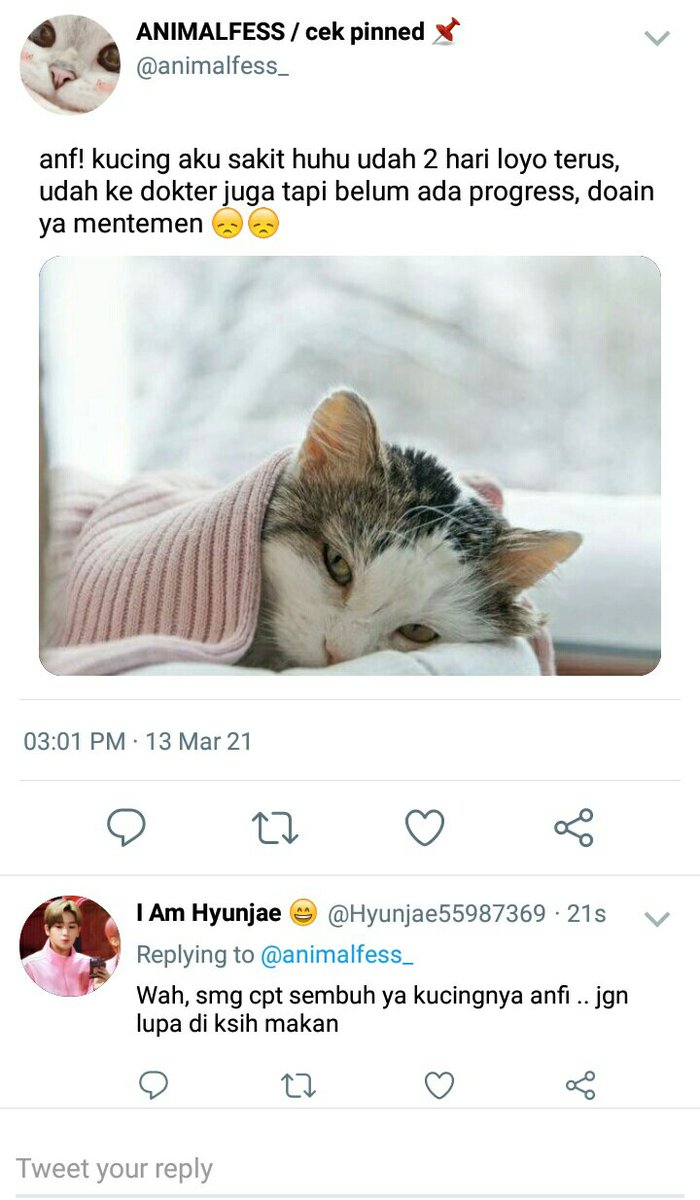 jerryjoele's tweet photo. sepenggal cerita tentang h yunjae yang baru masuk twitter

[ jumil short au ] https://t.co/qbeKdvdcu6