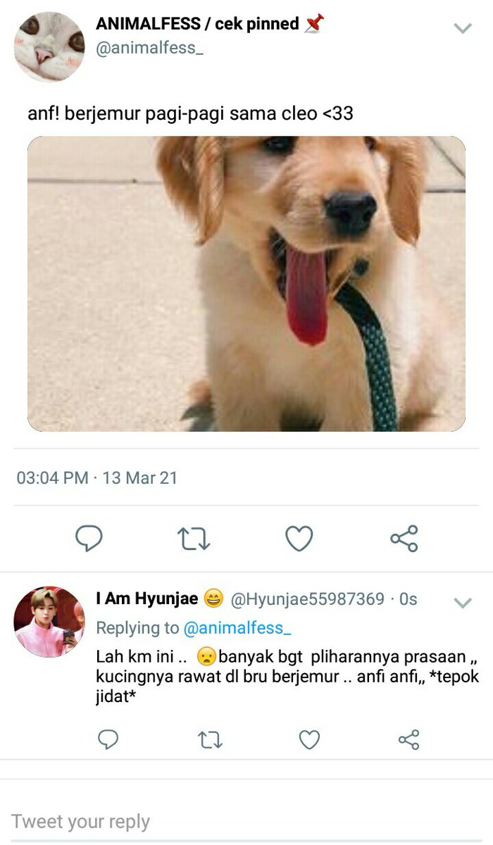 jerryjoele's tweet photo. sepenggal cerita tentang h yunjae yang baru masuk twitter

[ jumil short au ] https://t.co/qbeKdvdcu6