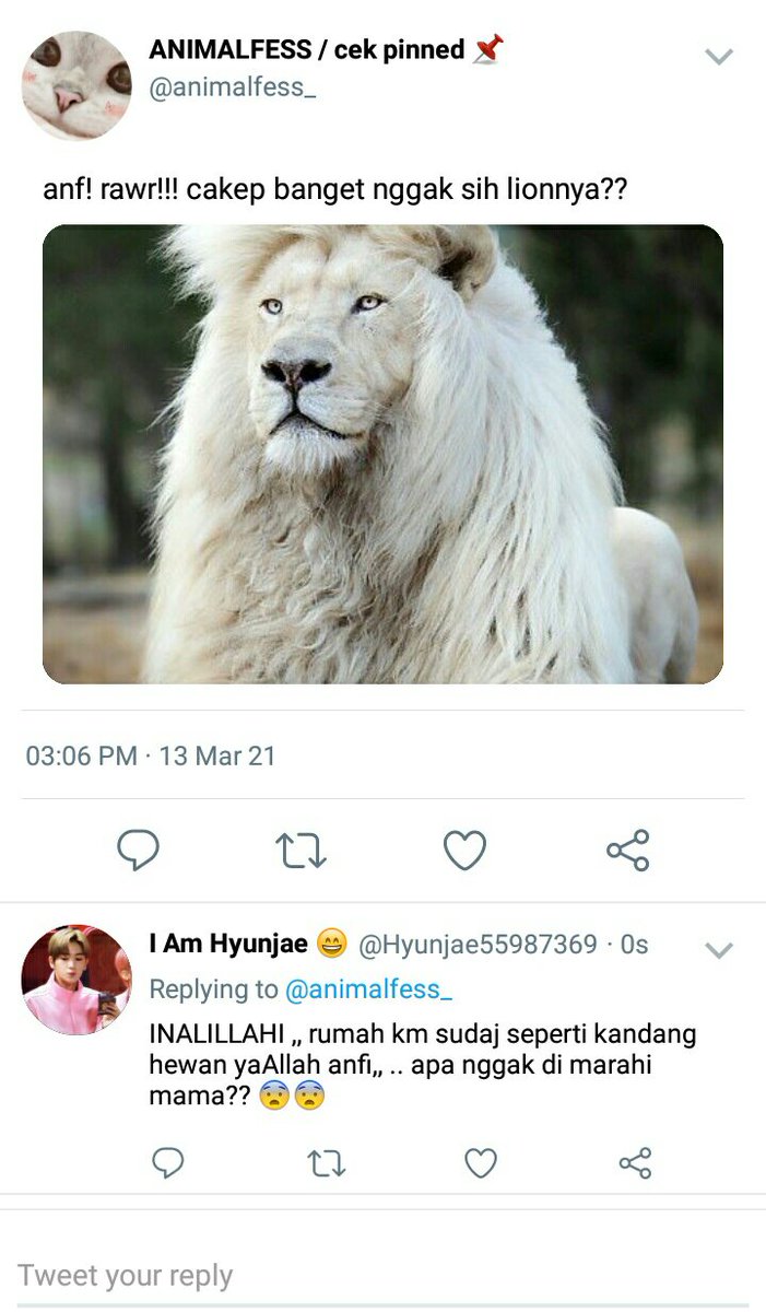 jerryjoele's tweet photo. sepenggal cerita tentang h yunjae yang baru masuk twitter

[ jumil short au ] https://t.co/qbeKdvdcu6