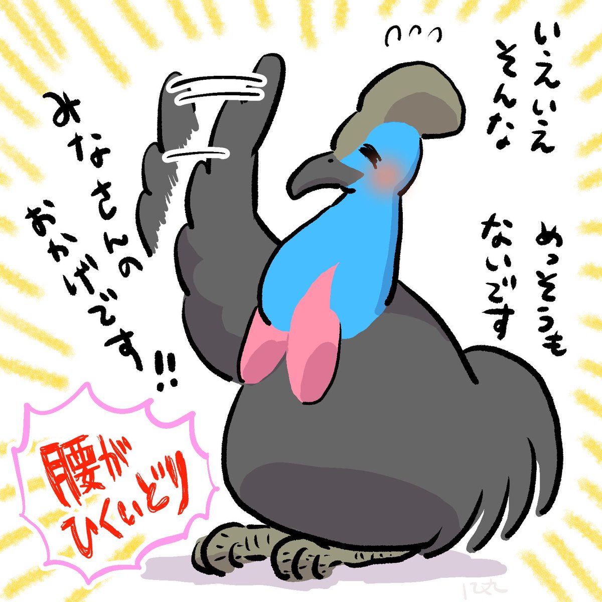 ヒクイドリです 
