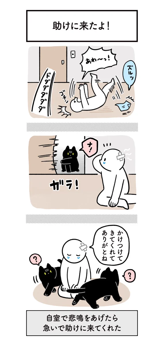 猫に大切にされると嬉しい！ほのぼの日常を描いた絵日記！