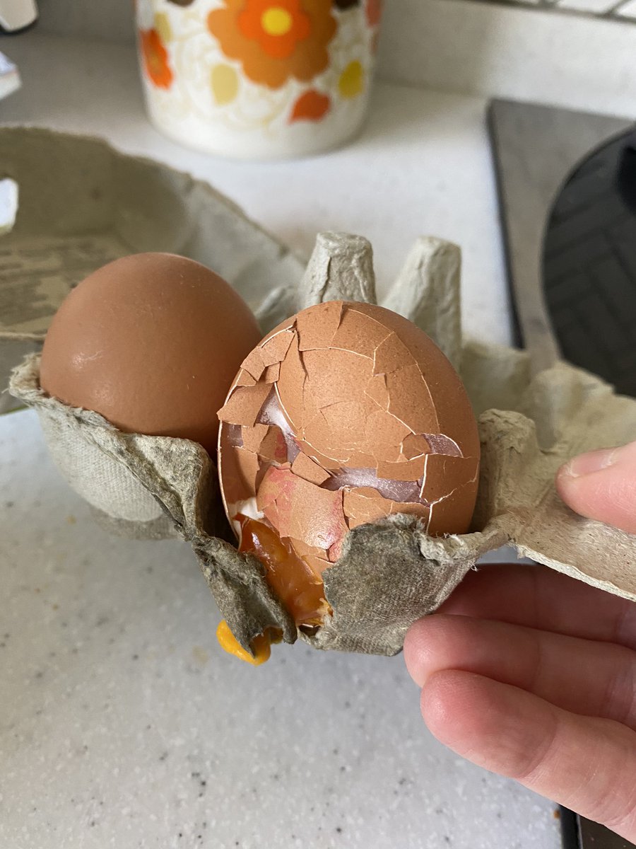 StephMcG6's tweet photo. @sainsburys Hey, just had my delivery and a couple of broken eggs due to them being frozen in transit. How can I claim refund please? https://t.co/zuj5RkNjv9