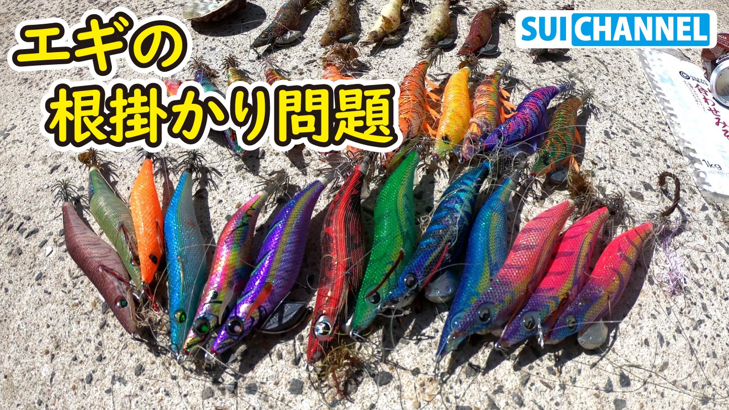 Sui Channel 本日の動画を配信しました 今回は毎月恒例のエギ拾いです 根掛かりしたエギを回収しながら どうすれば 根掛かりを減らせるかを考えていく内容になってますので ぜひエギングされてる方は参考にされて下さい さて 1ヶ月間で何個のエギが根