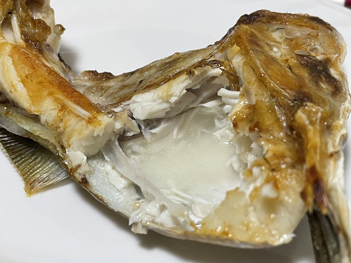 キントキ חיפוש טוויטר טוויטר