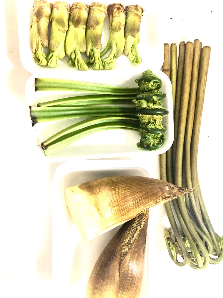 ワインダイニング米山 1日1組限定 隠れ家レストラン 小田急相模原駅 春の芽吹き 春らしくぜんまい こごみ ふきのとう たけのこ こちらをおひたしに仕立てます 1日1組予約限定レストラン 予約時に苦手食材 人数 来店時間 日にち お名前を伝えて下さい