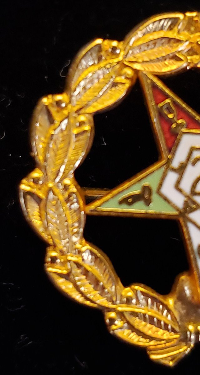 atticesoterica's tweet photo. Vintage Masonic Order of the Eastern Star Laurel Wreath 25 Year Gold Pin, Collectible Freemason Mason https://t.co/6ONsPtbJQX #Antiques #AtticEsoterica #Etsy #Vintage #Collectibles #BestOffer #Curios #GoldPin https://t.co/1XCjuFnRJn