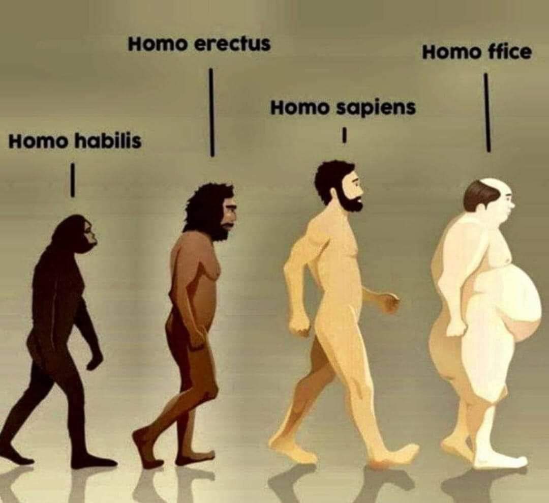 Home  SAPIENS 2021