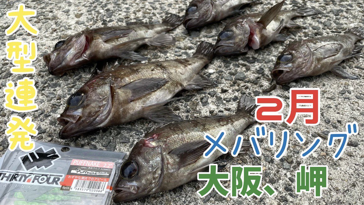 ATFS_tomo's tweet photo. AT Fishing Studioになってから初めての動画UPしましたー😁
よければ見てください🙇🏻‍♂️

https://t.co/2LwU5iqROe

#釣り
#釣り好きな人と繋がりたい 
#海釣り
#岬釣り
#淡輪釣り
#メバリング
#メバル
#AT Fishing Studio
#ATFS https://t.co/h4i9BGDVCe