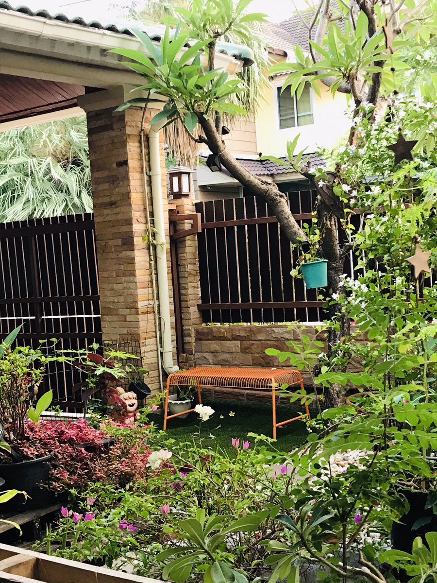 Tarren Ann Mulligan (she/her) tweet media