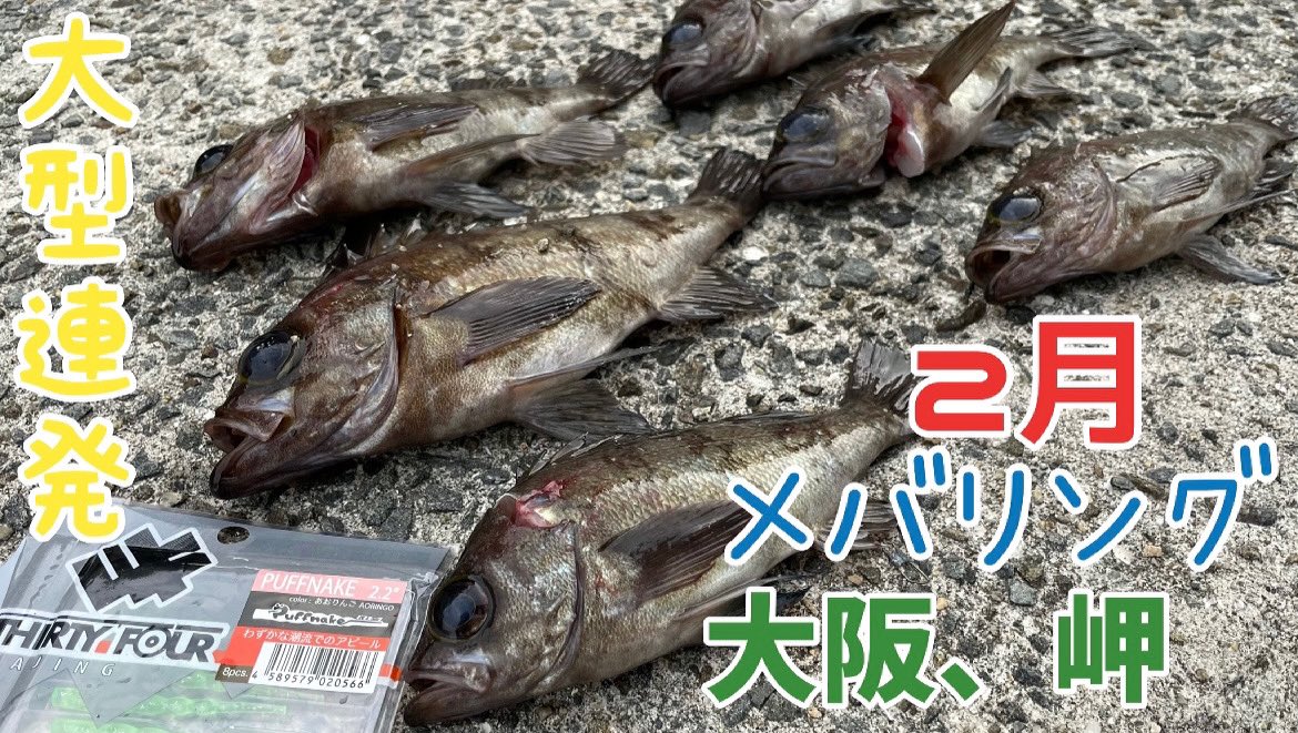 ATFS49's tweet photo. 新しい動画UPしましたー！！！！メバリング行って来ました！！！🤩ご視聴よろしくお願いいたします🙇‍♂️

https://t.co/uZe8rUQKcq

#atfs#atfishingstudio#釣りスタグラム#YouTube#YouTuber#釣り#釣り好きな人と繋がりたい#釣りスタグラム#大阪#メバル#メバリング#アジング https://t.co/nVwF5S1FJg