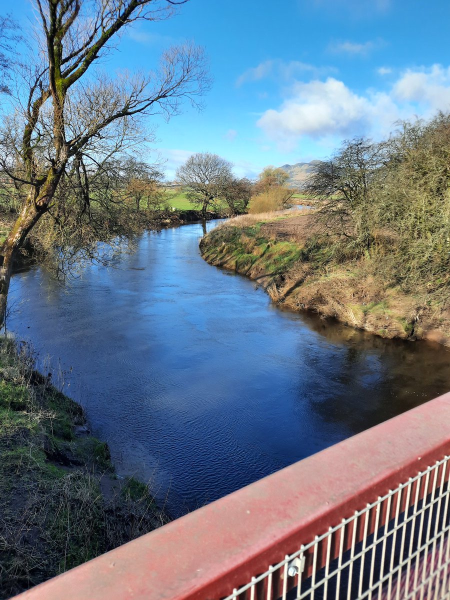 JackiDowie's tweet photo. Beautiful Saturday morning circular, #Devonside - #Fishcross - #Alva - #Tillicoultry. Only got 71km left of my virtual #whw total to walk before the end of March! @DiscoverClacks https://t.co/lU4khgIZEp