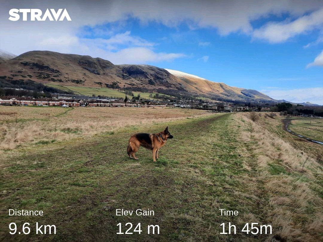 JackiDowie's tweet photo. Beautiful Saturday morning circular, #Devonside - #Fishcross - #Alva - #Tillicoultry. Only got 71km left of my virtual #whw total to walk before the end of March! @DiscoverClacks https://t.co/lU4khgIZEp