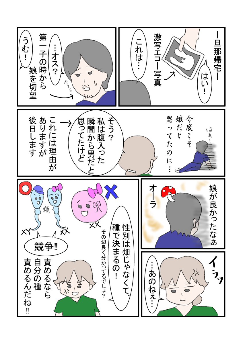 第二子の性別が判明した時の旦那の反応
#妊娠 #産み分け #胎児 
世の中そう上手くいかないもんさ 