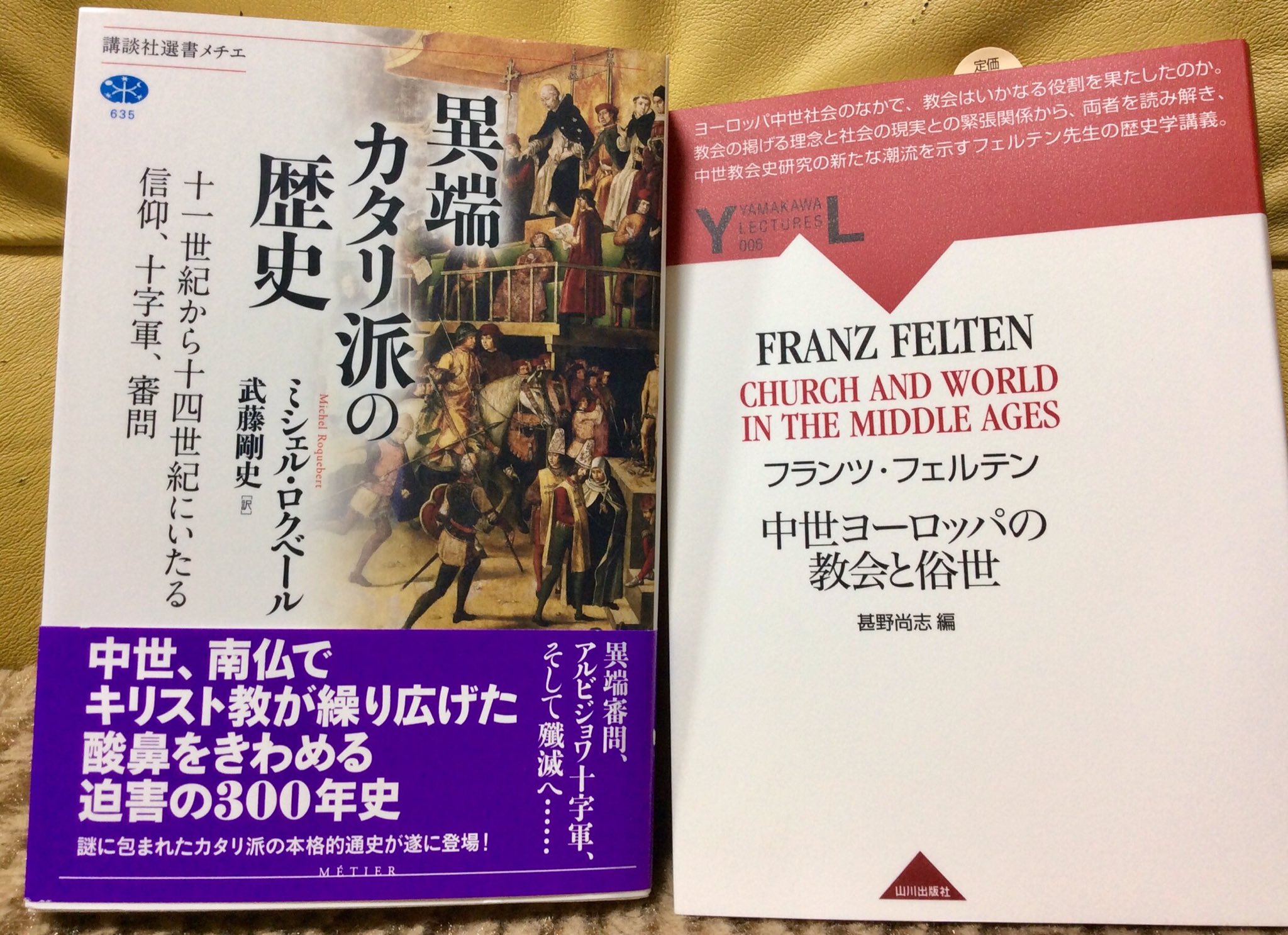 端座サト 積読本読了強化期間 On Twitter 本が届いた わーい歴史 ヽ 楽天ブックスから段ボール箱で到着 異端カタリ派の歴史 講談社選書メチエ 中世ヨーロッパの教会と俗世 山川出版社 いやあお噂はかねがねの鈍器本 手に取ってみたら本当に