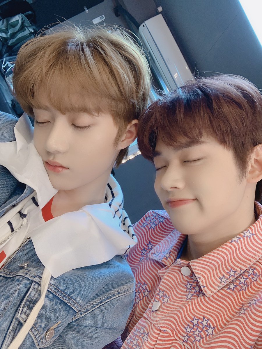 haremcyj's tweet photo. they are each other’s first love https://t.co/AvlAw7fTd0