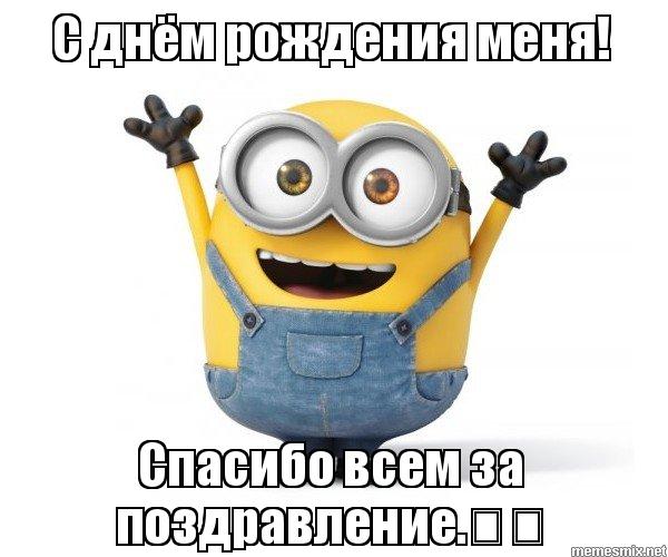 stemla13 tweet picture