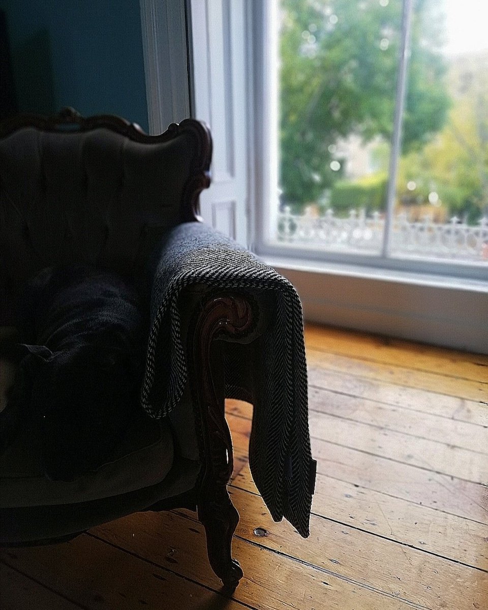 Alfie has the right idea here chillin' with #TheCostumeRoom Handwoven Donegal Tweed Throw. You'd actually nearly miss him only for the shine of his coat &amp; sparkle in his eye. Hope you're all hanging in there #thankyou so much for all your orders❣️Sinéad xx
thecostumeroom.com