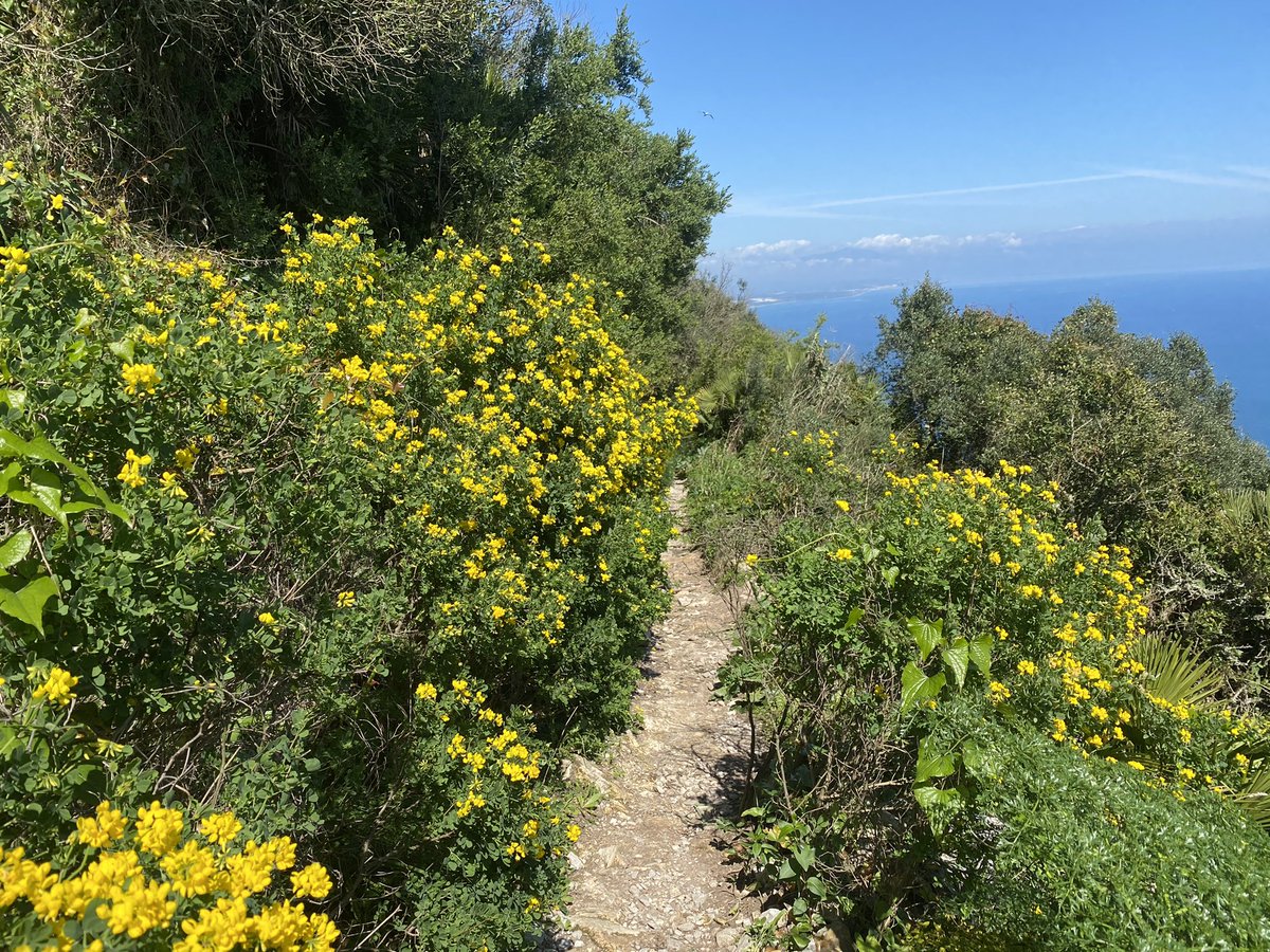 Hawkhayes12's tweet photo. Great day today Parecia un dia de verano even got sunburnt.#splendid #gibraltarnaturereserve #visitgibraltar #sunandsea #yanito https://t.co/fOvCUcjQ8m
