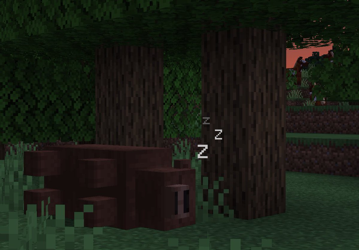 hatsondogs tweet media