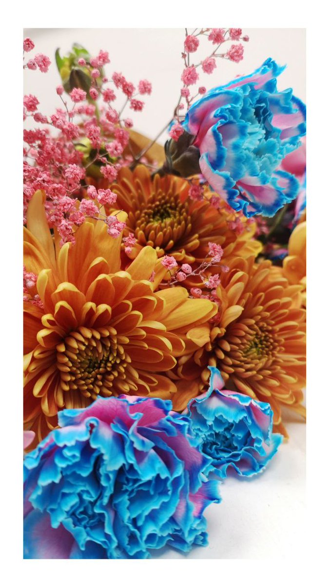 WeLoveToCreate's tweet image. We've had Matt from Glasshouse Florals utilising our shop space this weekend. He's been making up these stunning contemporary bouquets for Mothers Day - we were lucky enough to receive a bouquet as a thank you.

Find more at glasshouseflorals.com

#MothersDay #Florals