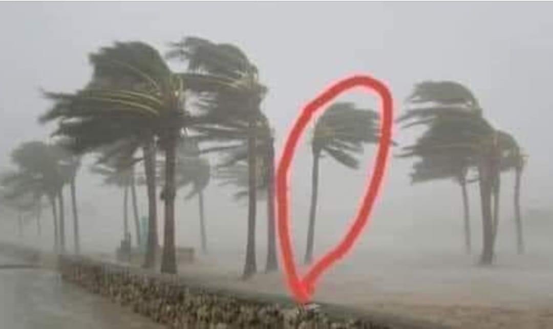 In October 2018 tollgate was 2 USD. My teacher salary was 531 USD. Fast forward March 2021 tollgate is 2 USD/$164 ZWL. My teacher salary is $16 000 ZWL (about 150 USD). 
Ndabata hangu yangu ndikasheedzera zvinyoro nyoro kut I'm a FOOL