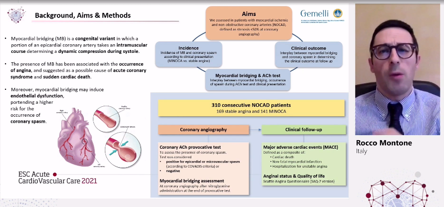 rafavidalperez tweet media