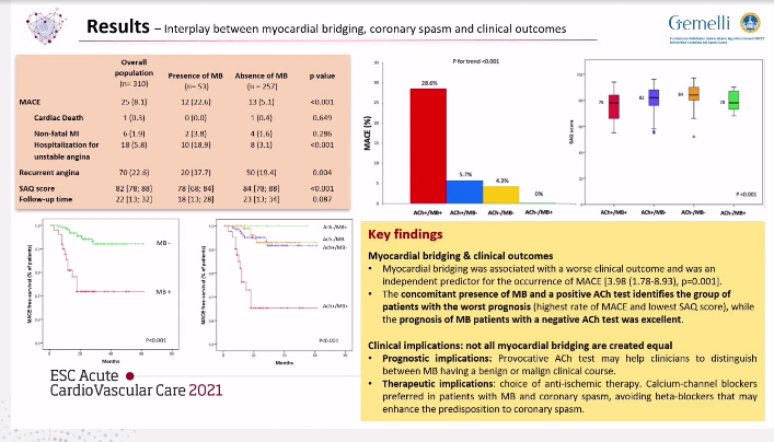 rafavidalperez tweet media