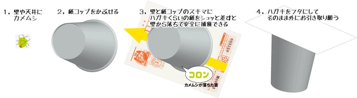 @c_tsuyama これは臭い虫での厚紙の使い方ですが、はがきより折目がある牛乳パックの方が便利そうですね 