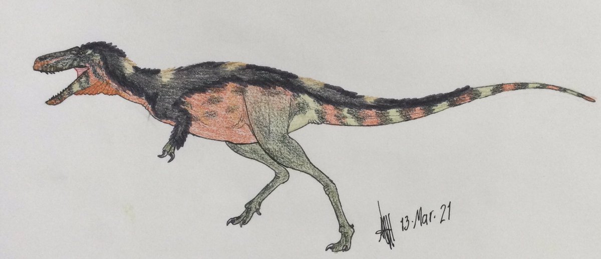 QIndoTrex's tweet photo. Alectrosaurus olseni

I stained the sheet while having breakfast XD

(Based on the skeletal by PaleoNeolitic on Wikipedia)
#paleoart #drawing #dinosaur #tyrannosauroidea #theropod #alectrosaurus #mesozoic https://t.co/pgQrKt0y54