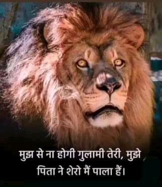 RoyalSoldier1's tweet photo. @HindustaniJyoti 
@RoyalSoldier1 https://t.co/WTIHiWv34h