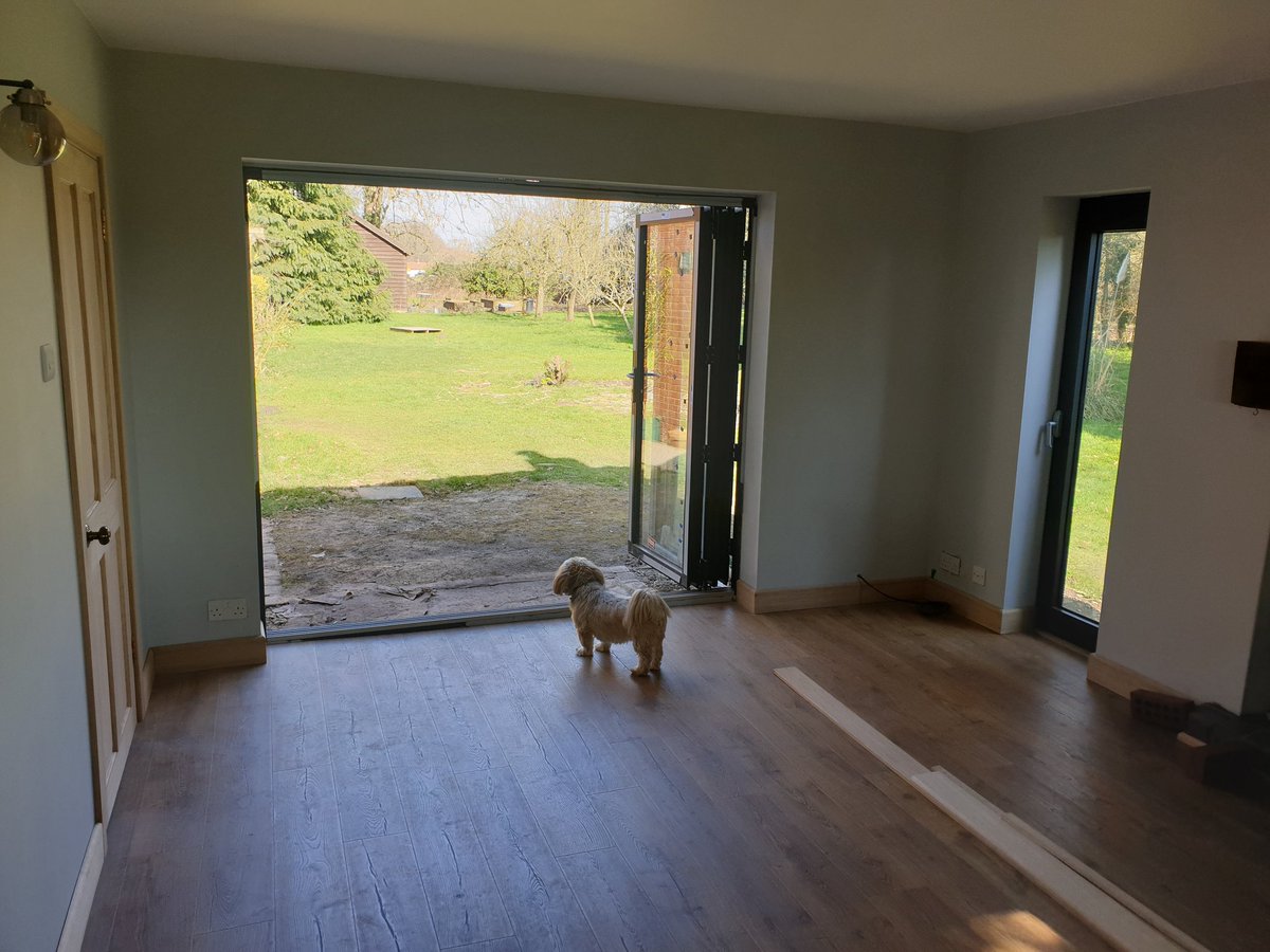 George Mears tweet media